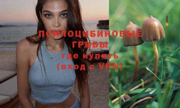 альфа пвп Магас